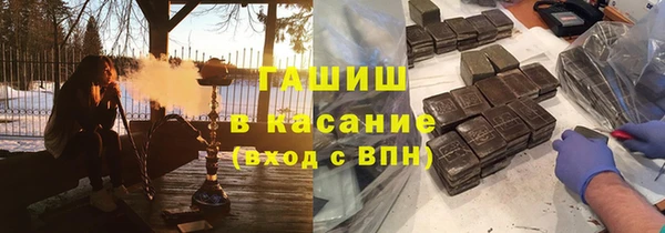 прущие грибы Верхний Тагил